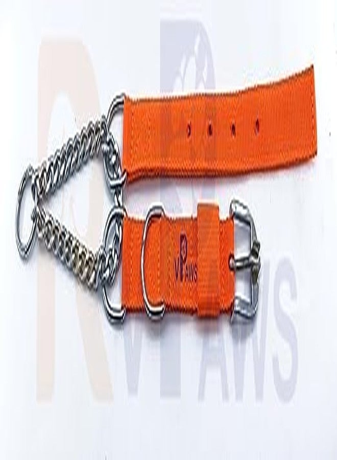 Pups&Pets طوق كلاب متين من النايلون المتين من Pups&Pets، نصف ونصف، بتصميم ماسي، طوله 1.25 بوصة، مثالي لتدريب الكلاب العملاقة والكبيرة (برتقالي). - Image 3